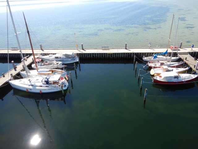 DSCN0944.JPG