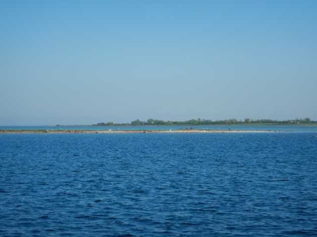 DSCN0959.JPG