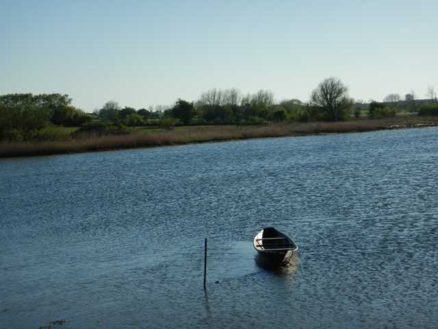 DSCN0971.JPG