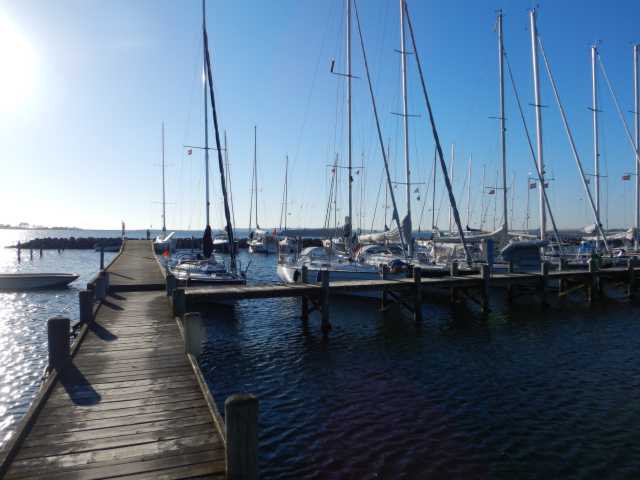 DSCN0977.JPG