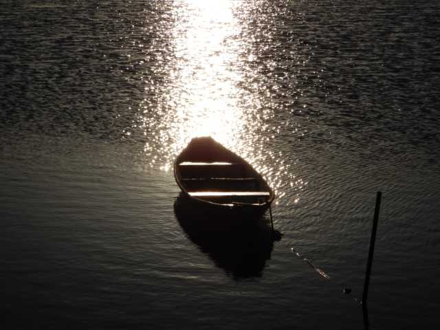 DSCN0978.JPG