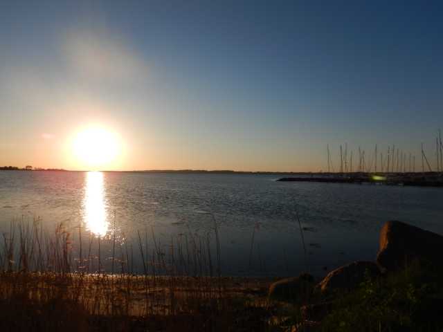 DSCN0985.JPG
