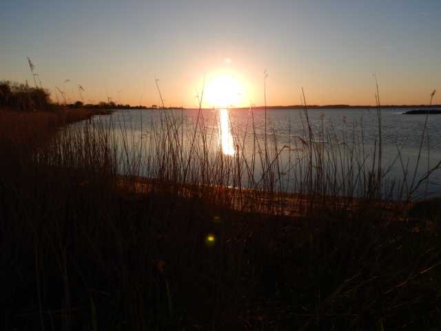 DSCN0992.JPG