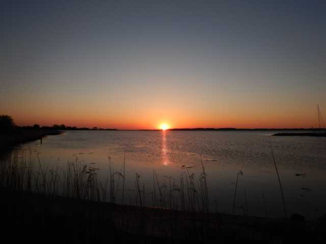 DSCN0995.JPG