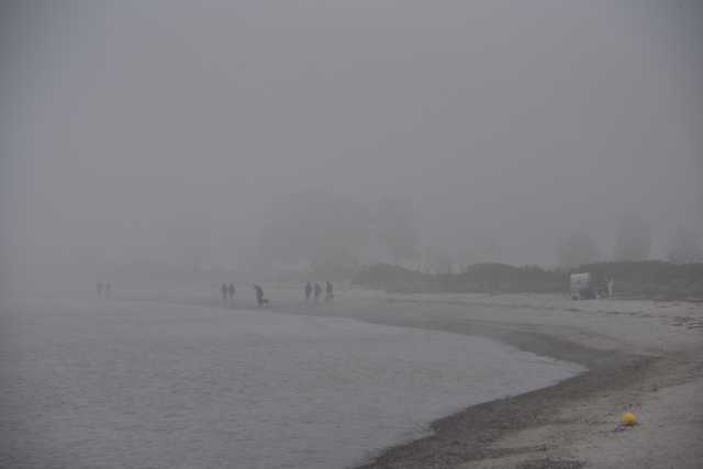 DSC_3040.JPG