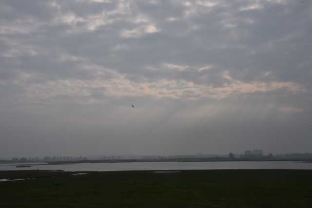 DSC_3112.JPG