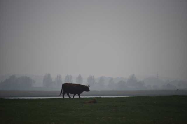 DSC_3127.JPG