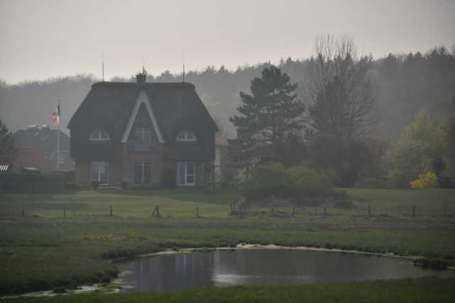 DSC_3139.JPG