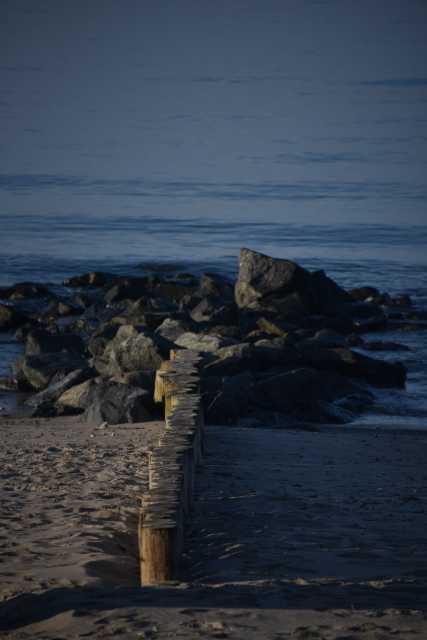 DSC_3179.JPG