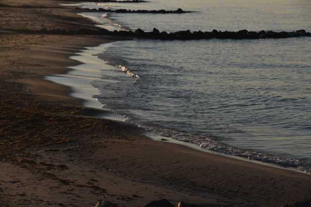 DSC_3215.JPG