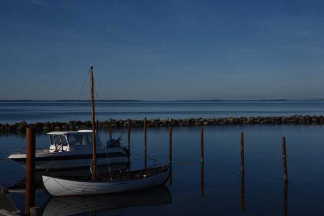 DSC_3311.JPG