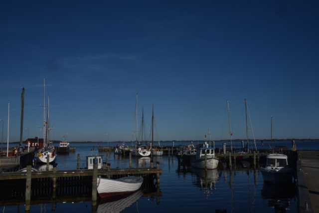 DSC_3317.JPG