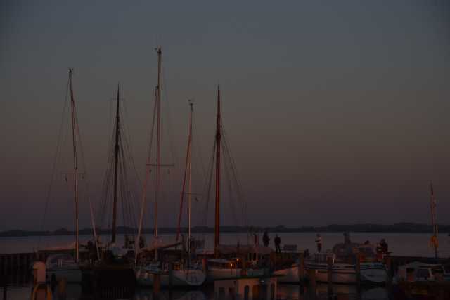 DSC_3368.JPG