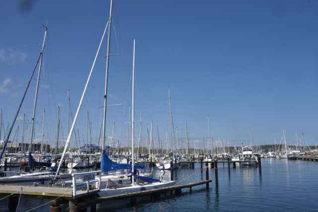 DSC_3405.JPG