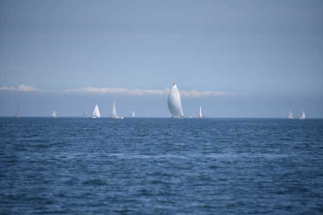 DSC_3480.JPG