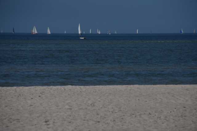 DSC_3500.JPG