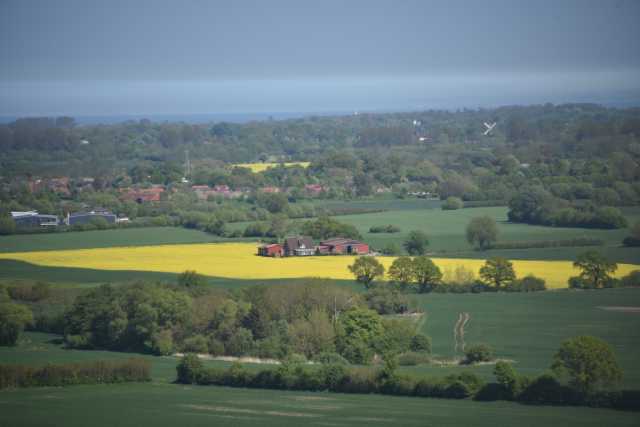 DSC_3565.JPG