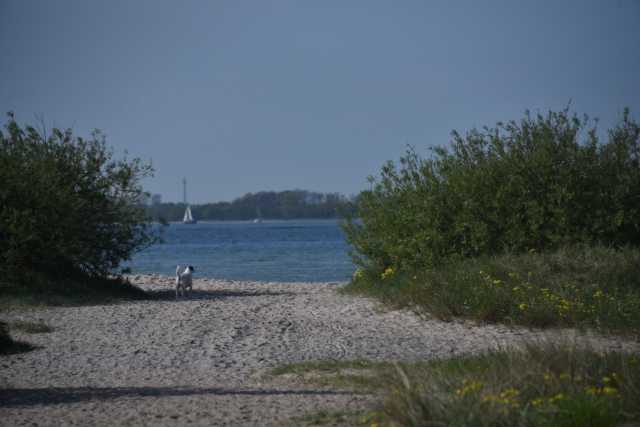 DSC_3596.JPG
