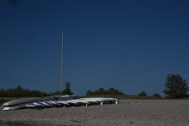 DSC_3620.JPG