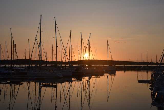 DSC_3673.JPG