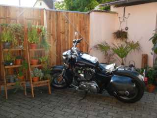 DSCN1205.JPG