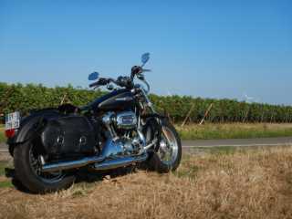 DSCN1206.JPG