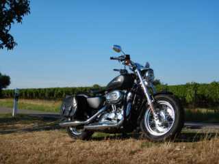DSCN1208.JPG