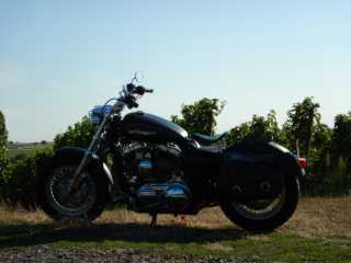 DSCN1212.JPG