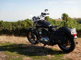 DSCN1213.JPG