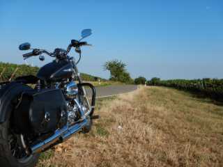 DSCN1215.JPG