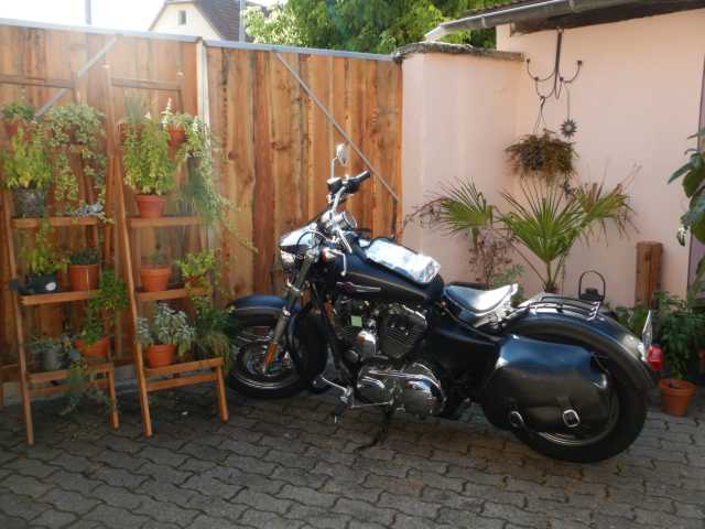 DSCN1205.JPG