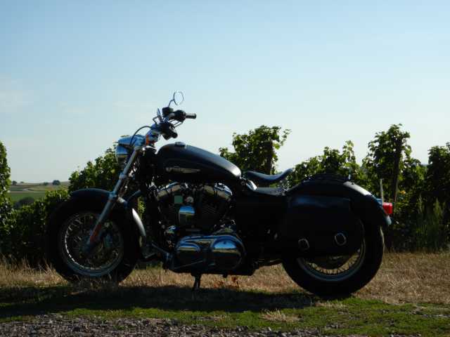 DSCN1212.JPG
