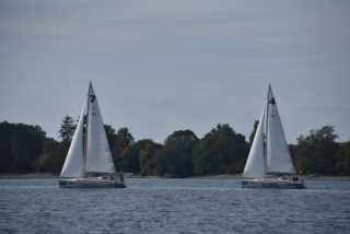 DSC_5250.JPG