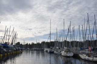 DSC_5372.JPG