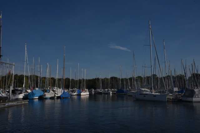 DSC_5098.JPG