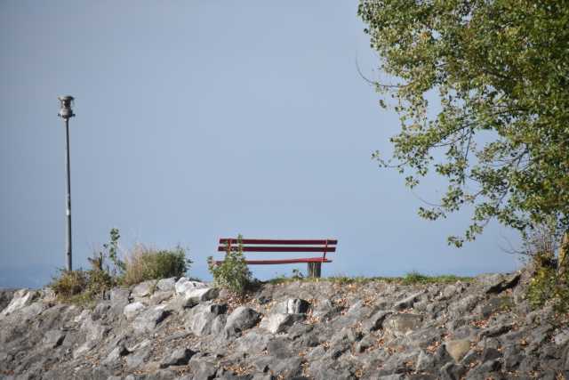DSC_5102.JPG