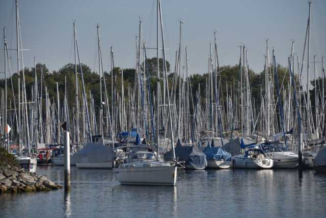 DSC_5106.JPG