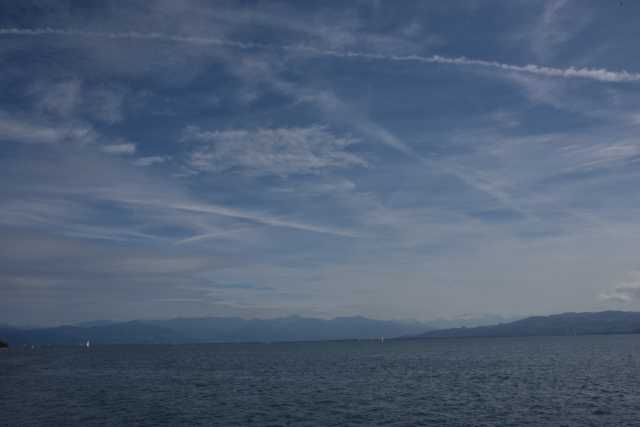 DSC_5298.JPG