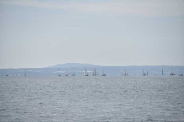 DSC_5318.JPG