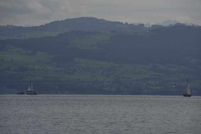 DSC_5341.JPG