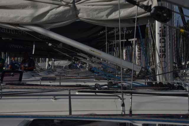 DSC_5380.JPG
