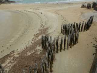 DSCN1408.JPG