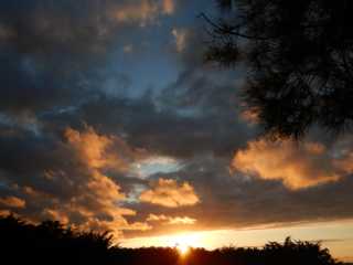 DSCN1434.JPG