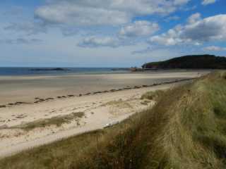 DSCN1439.JPG