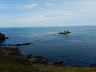 DSCN1447.JPG