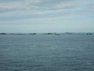 DSCN1568.JPG