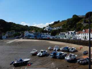 DSCN1650.JPG