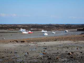 DSCN1710.JPG