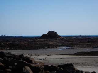 DSCN1713.JPG