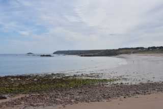DSC_4787.JPG